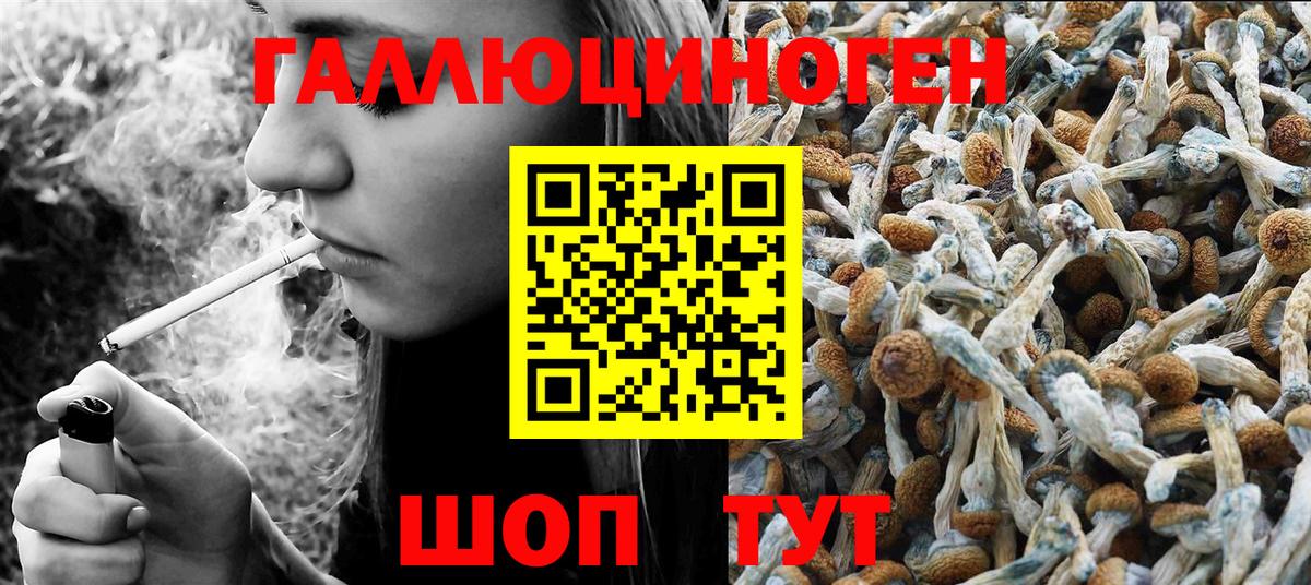 закладки  Галлюциногенные грибы мицелий  Вход с VPN  Псилоцибиновые грибы MAGIC MUSHROOMS  Чебоксары 